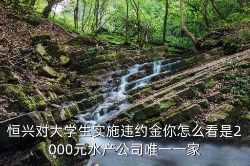 恒興對大學(xué)生實施違約金你怎么看是2000元水產(chǎn)公司唯一一家