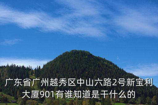 廣東省廣州越秀區(qū)中山六路2號新寶利大廈901有誰知道是干什么的