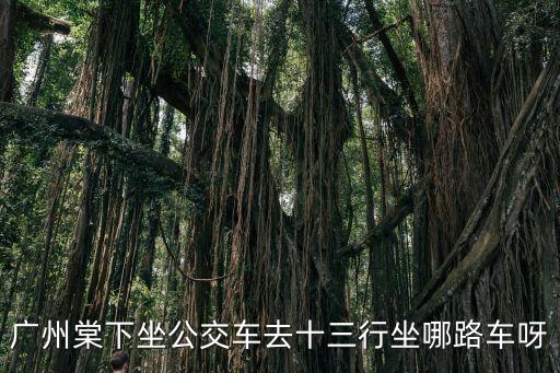 廣州棠下坐公交車去十三行坐哪路車呀