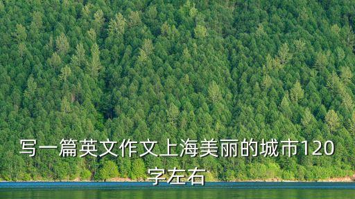 上海市2019年英語一模作文，寫一篇英文作文上海美麗的城市120字左右