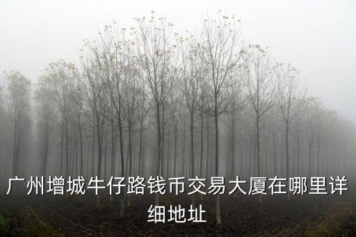 廣州增城牛仔路錢幣交易大廈在哪里詳細地址