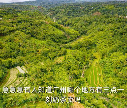 廣州三點(diǎn)飲茶，在廣州喝早茶幾點(diǎn)開(kāi)始幾點(diǎn)結(jié)束哪家比較好點(diǎn)價(jià)格實(shí)惠點(diǎn)
