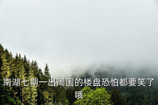 南湖七期一出周圍的樓盤(pán)恐怕都要笑了哦
