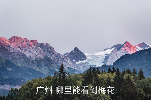 廣州 哪里能看到梅花