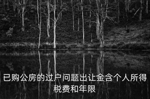 已購公房的過戶問題出讓金含個人所得稅費和年限