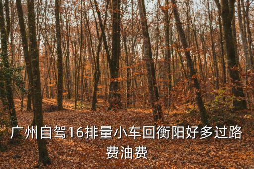 廣州到衡陽自駕多少費用，請問廣州到衡陽要多少錢