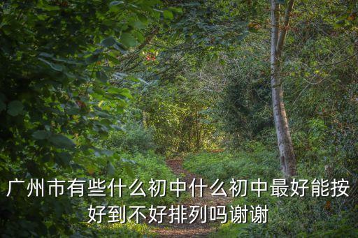 廣州市有些什么初中什么初中最好能按好到不好排列嗎謝謝