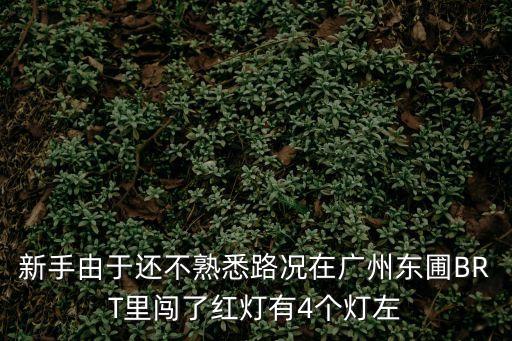 廣州東圃康盛大廈紅綠燈，緊急求助朋友