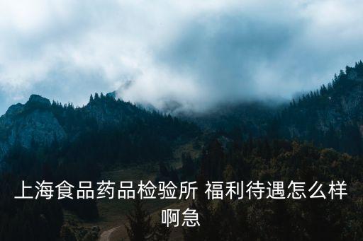 上海市長(zhǎng)寧區(qū)食品藥品監(jiān)督所怎么樣，上海食品藥品檢驗(yàn)所 福利待遇怎么樣啊急