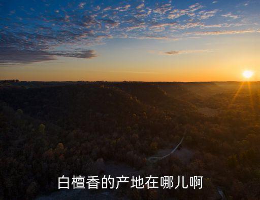 白檀香的產地在哪兒啊