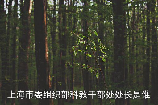 劉平 上海市政府，上海市委組織部科教干部處處長是誰