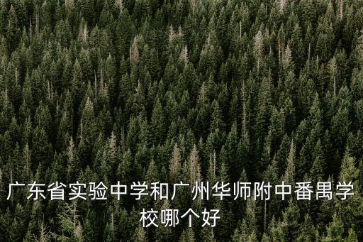 華師附中番禺學校在廣州排名如何，華師附中番禺分校怎樣