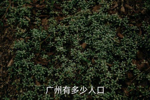 廣州有多少人口