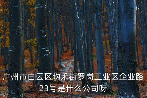 廣州市白云區(qū)均禾街羅崗工業(yè)區(qū)企業(yè)路23號是什么公司呀