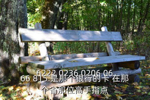 6222 0236 0206 0666 815 是那個(gè)銀行的卡 在那個(gè)省那位高手指點(diǎn)