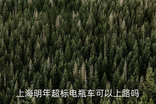 上海市電動車查超標違法嗎，上海超標電動車查得嚴嗎