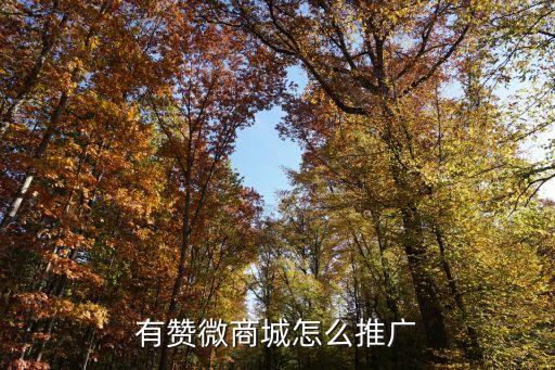 廣州有贊微商城廣告推廣，有贊微商城怎么推廣