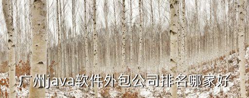 廣州哪家java好，廣州最好java培訓機構排名有哪些
