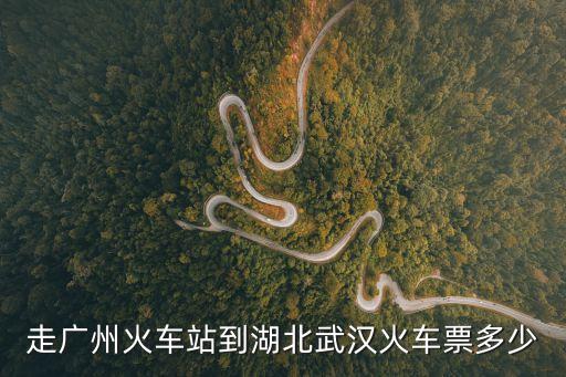 走廣州火車站到湖北武漢火車票多少