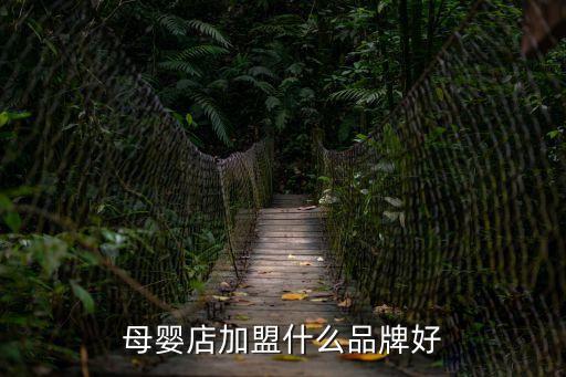 母嬰店加盟什么品牌好