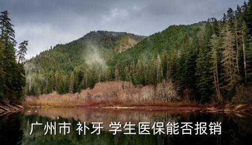 廣州大學城補牙報銷，廣州市 補牙 學生醫保能否報銷