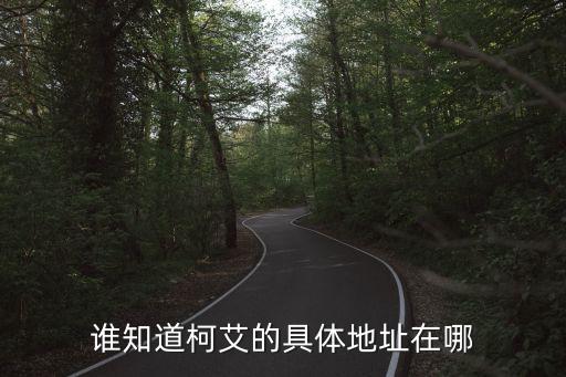 參觀上海市武定路930弄14號，郭敬明的公司住址