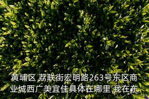 黃埔區(qū) 荔聯(lián)街宏明路263號東區(qū)商業(yè)城西廣美宜佳具體在哪里 我在東