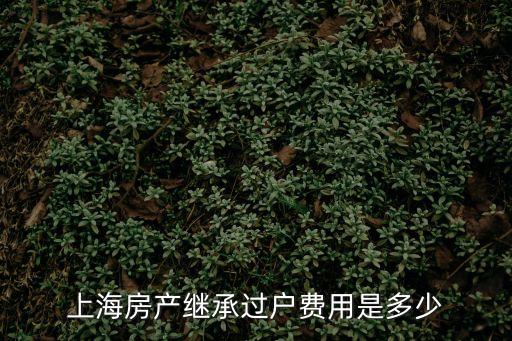 上海市房產(chǎn)繼承過戶，上海房產(chǎn)繼承過戶費(fèi)用是多少