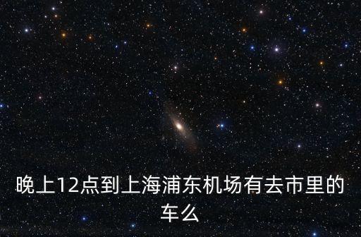 晚上12點到上海浦東機場有去市里的車么