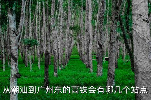 從潮汕到廣州東的高鐵會有哪幾個站點