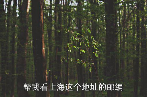 幫我看上海這個(gè)地址的郵編
