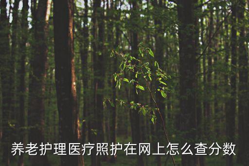 上海市 醫療照護考試成績查詢，上海執業醫師考試成績查詢方式