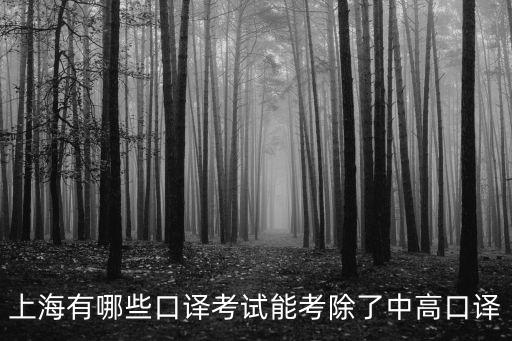 上海市口語能力考試，上海市英語口譯基礎(chǔ)能力考試合格證書考試