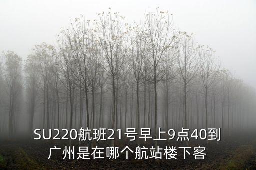 SU220航班21號早上9點40到廣州是在哪個航站樓下客