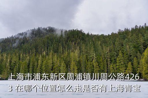 上海市浦東新區周浦鎮川周公路4263 在哪個位置怎么走是否有上海青寶