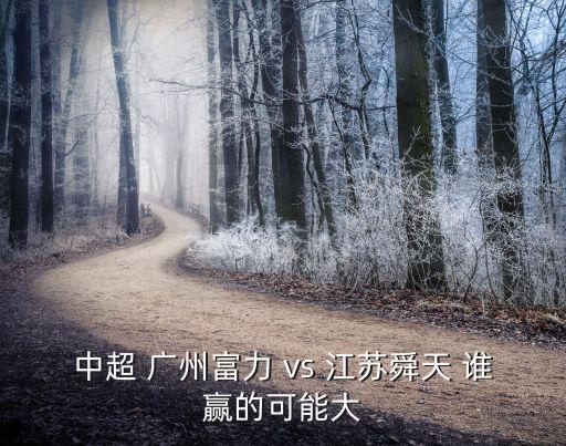 廣州富力vs江蘇蘇寧指數，中超 廣州富力 vs 江蘇舜天 誰贏的可能大