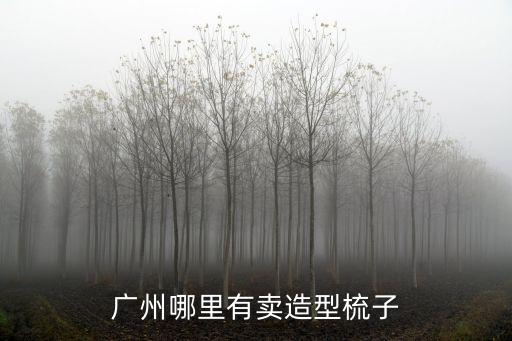 廣州哪里有賣造型梳子