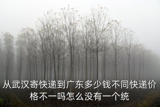 從武漢寄快遞到廣東多少錢不同快遞價(jià)格不一嗎怎么沒有一個(gè)統(tǒng)