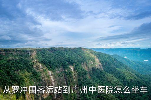 從羅沖圍客運(yùn)站到廣州中醫(yī)院怎么坐車