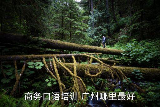 商務口語培訓 廣州哪里最好