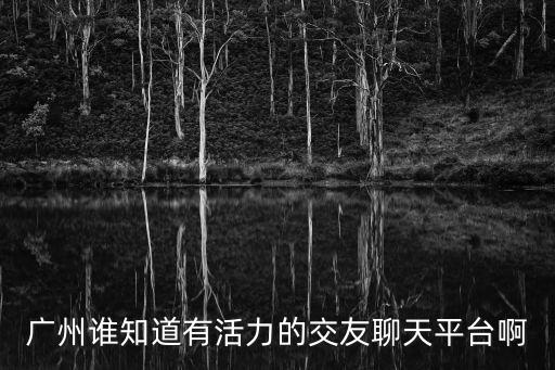 廣州適合男士的交友網，廣州誰知道有活力的交友聊天平臺啊