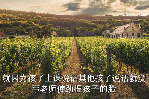 就因為孩子上課說話其他孩子說話就沒事老師使勁捏孩子的臉