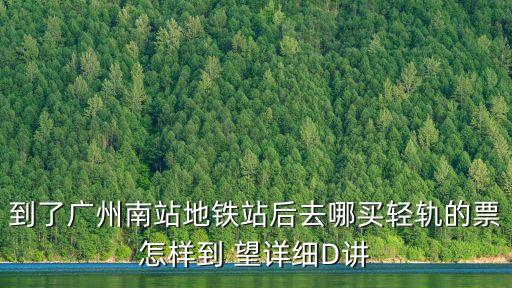 到了廣州南站地鐵站后去哪買輕軌的票怎樣到 望詳細D講
