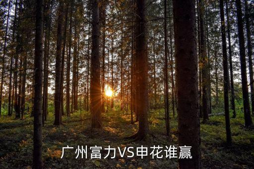 上海申花與廣州富力的比賽結(jié)果，申花對廣州贏了嗎
