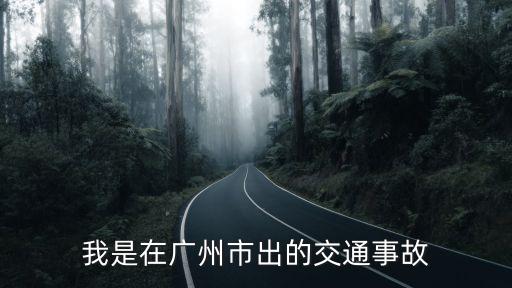 今日廣州增城市民警，我是在廣州市出的交通事故