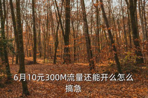 6月10元300M流量還能開么怎么搞急