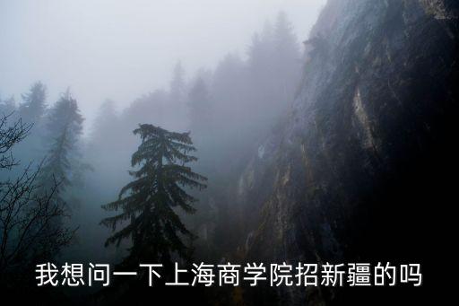 上海市商業大學招聘，我想問一下上海商學院招新疆的嗎