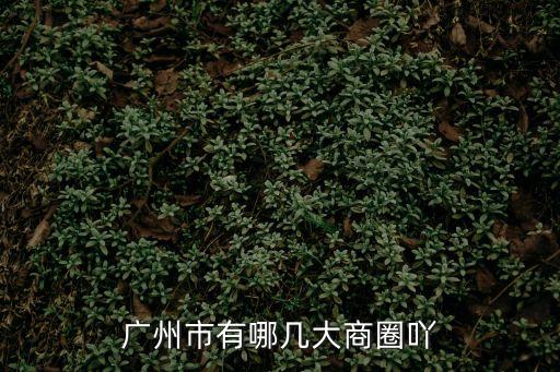 廣州市有哪幾大商圈吖