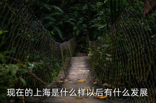 大上海市人山人海，現(xiàn)在的上海是什么樣以后有什么發(fā)展