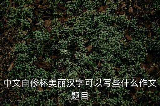 中文自修杯美麗漢字可以寫些什么作文題目